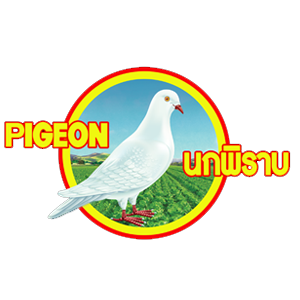 Pigeon Brand